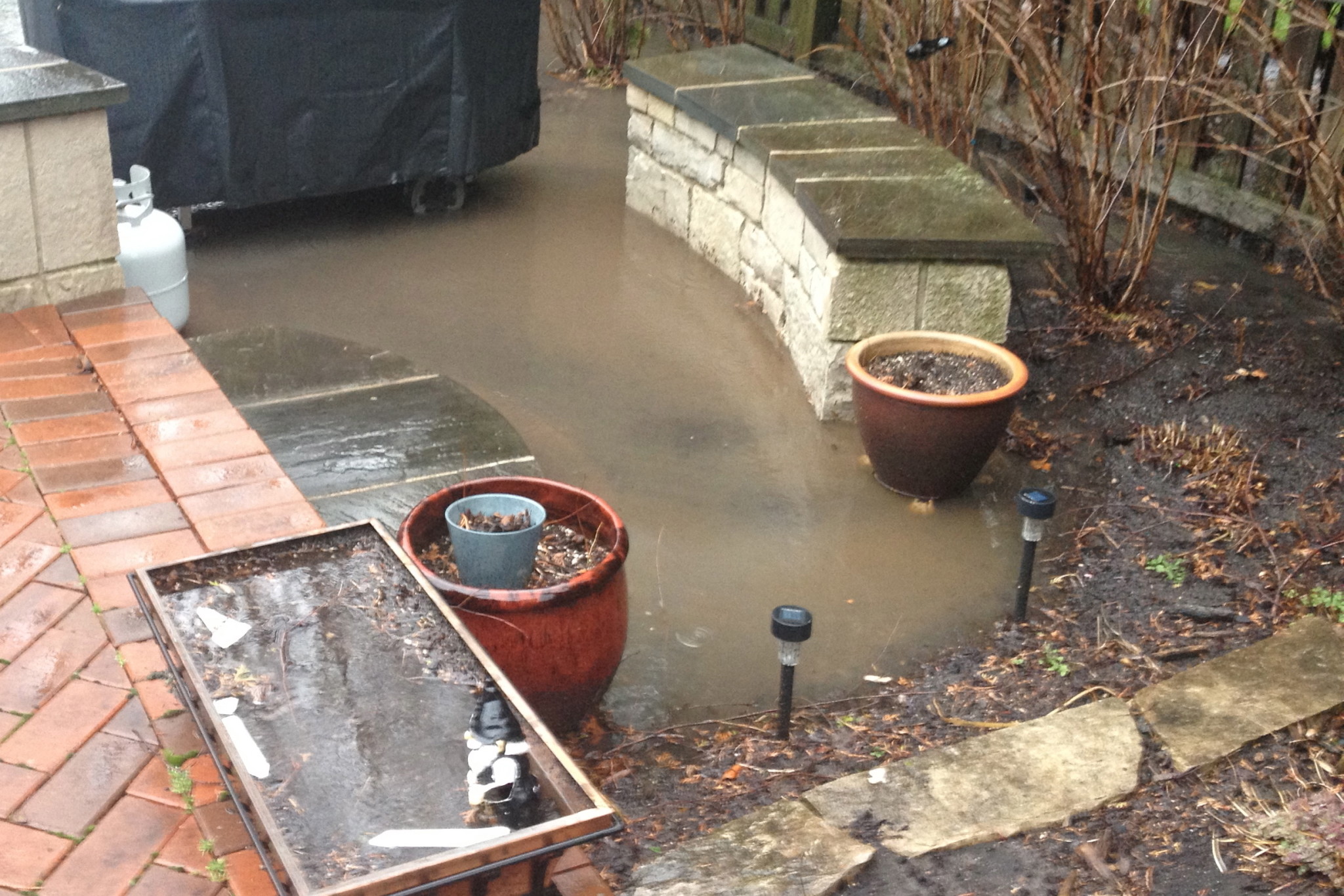 IMG_2189 - Version 2