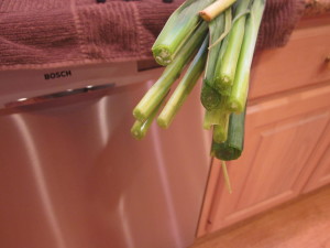 The flower vendor always offers to make a fresh cut with a super sharp chopper