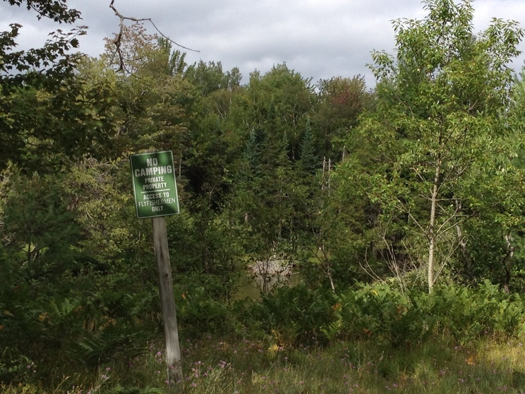 Roadside pullouts that allow easy access to streams, lakes, and any beautiful spot you may want to visit