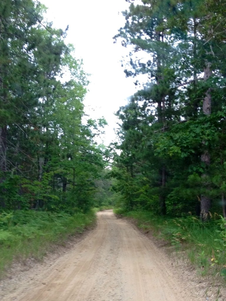 Sandy two tracks that are everywhere, taking you on an adventure.