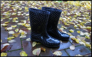 Slogger rain boots