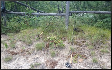 Fishing Boardman river, MI