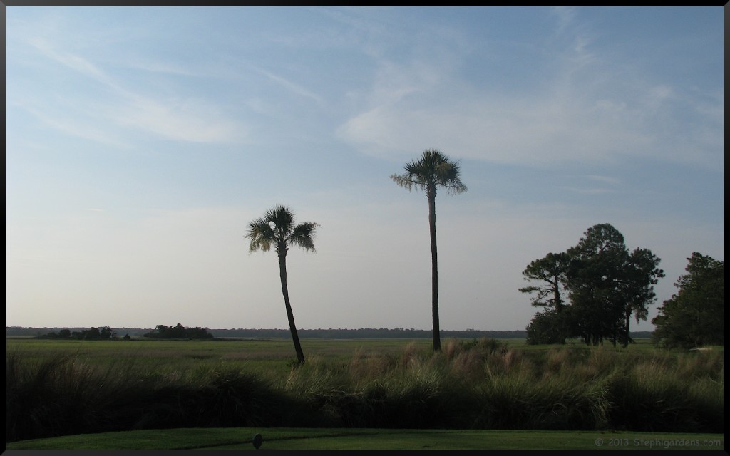 kiawah