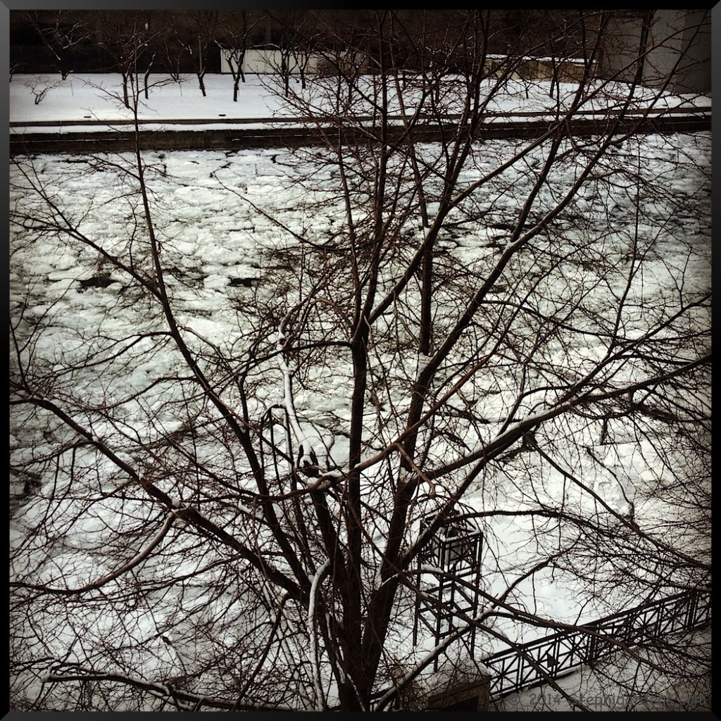 Icy Chicago River