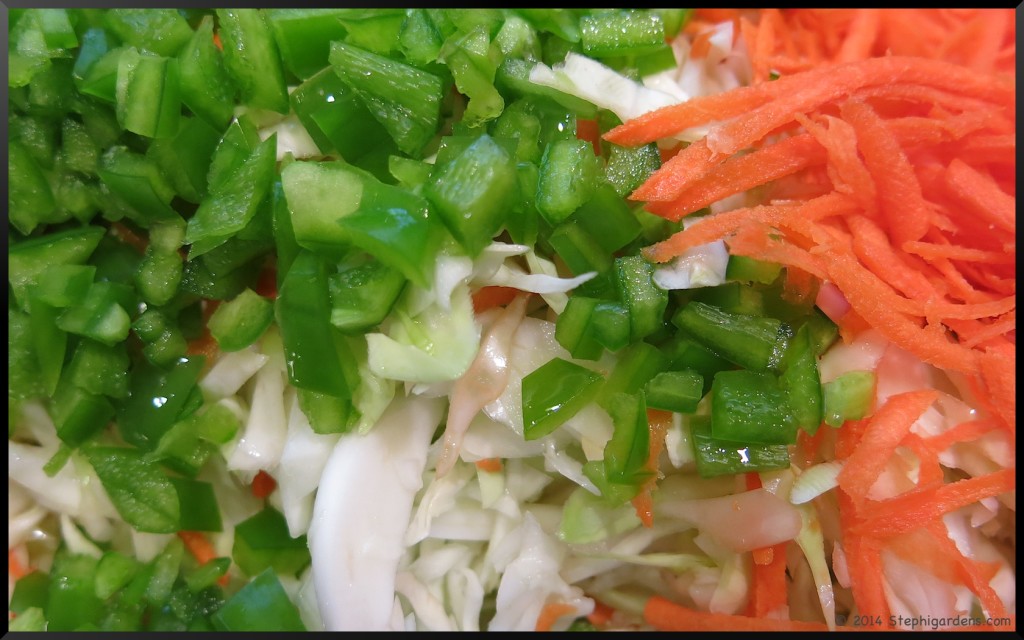 Freezer Slaw