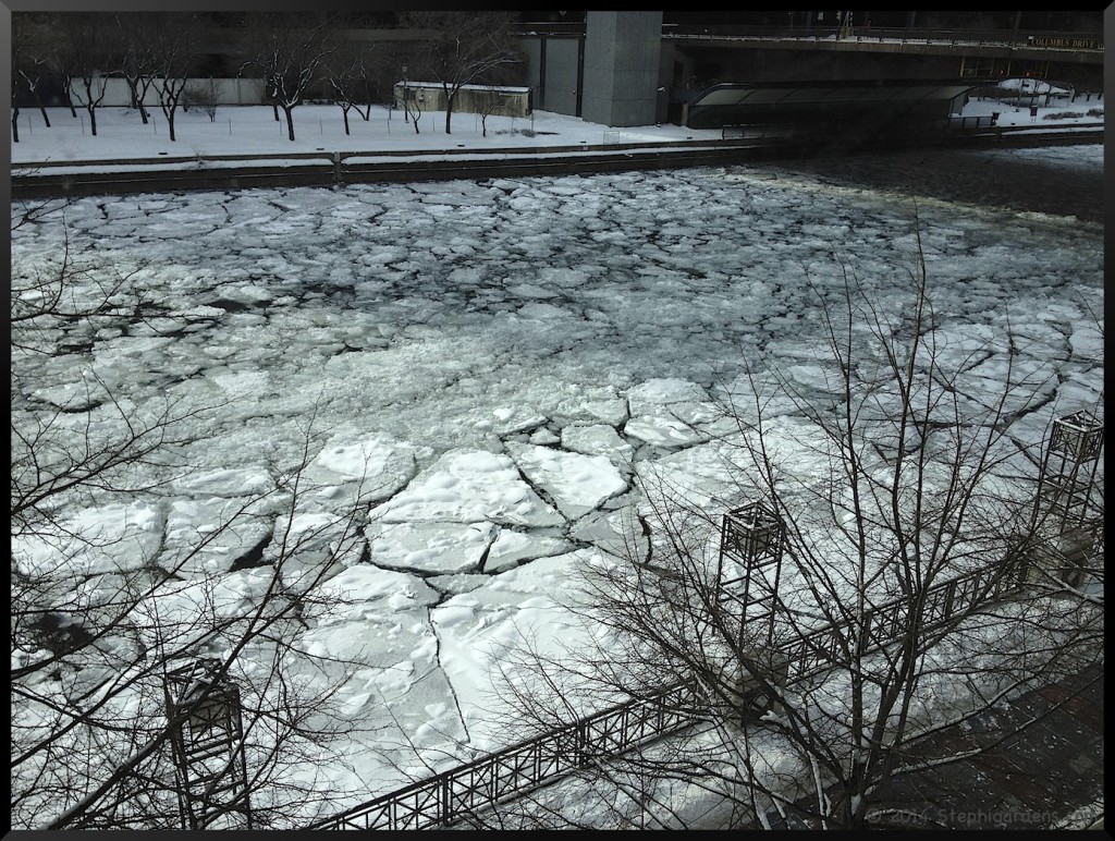 Icy Chicago River