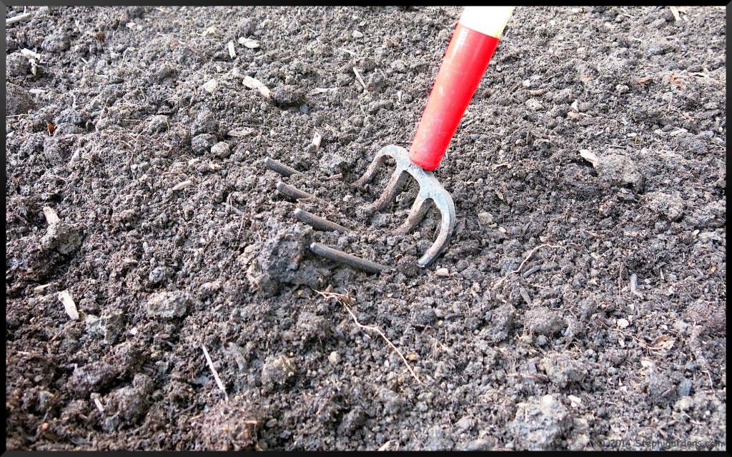 Raised Bed Gardening