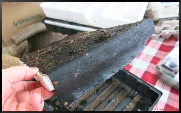 APS Seed Starter Tray