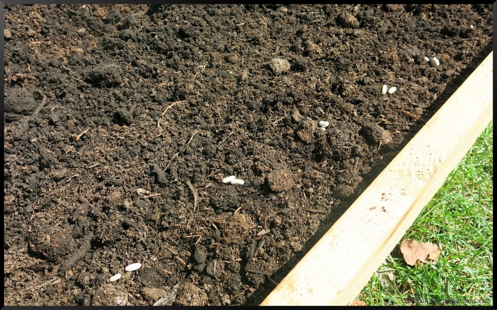 Raised vegetable bed