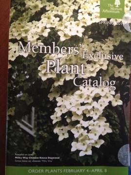 Morton Arboretum Plant Sale