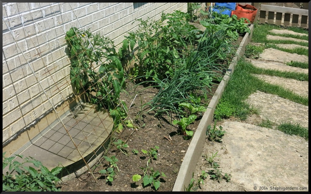 Raised bed garden