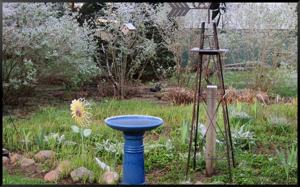 Stephi Gardens: Photos by Peggy