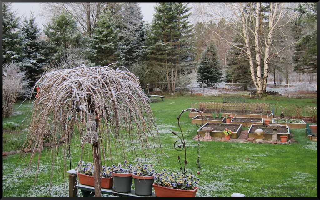 Stephi Gardens: Photos by Peggy