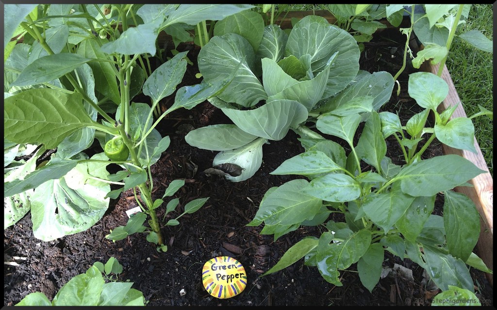 Painted Rock Garden Labels