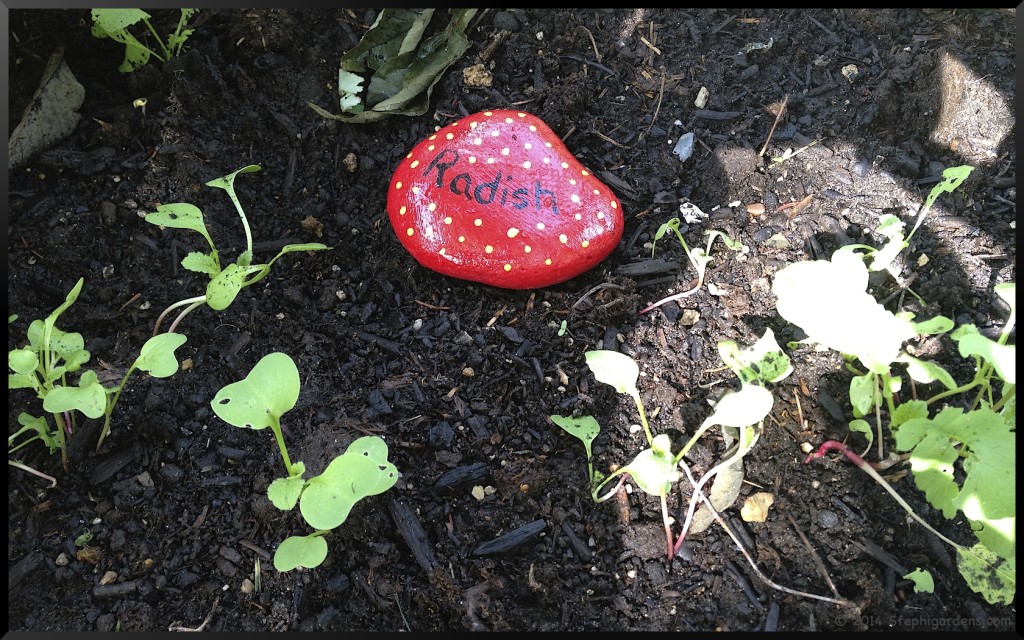 Painted Rock Garden Labels