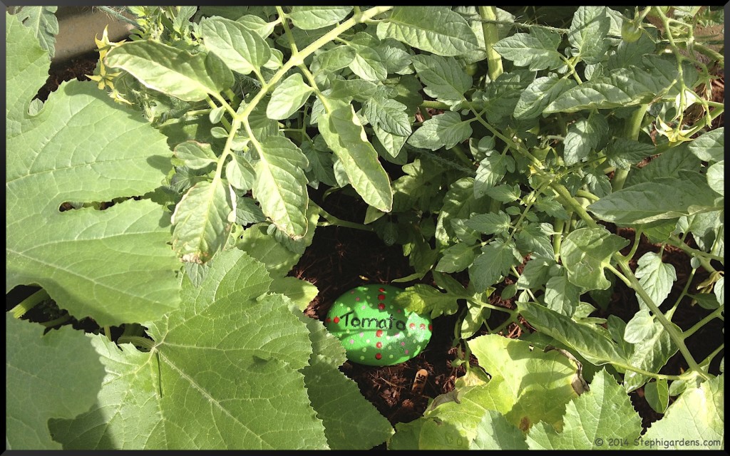 Painted Rock Garden Labels