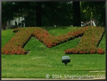 University Maryland College Park