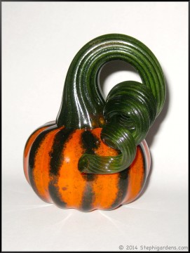 pumpkin 067