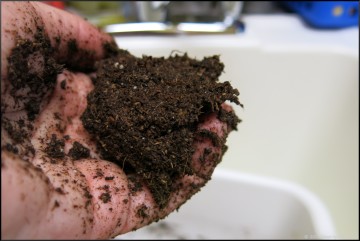 APS seed starting system