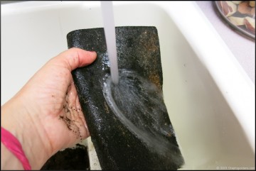 APS seed starting system