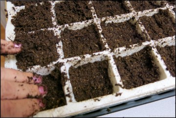 APS seed starting system