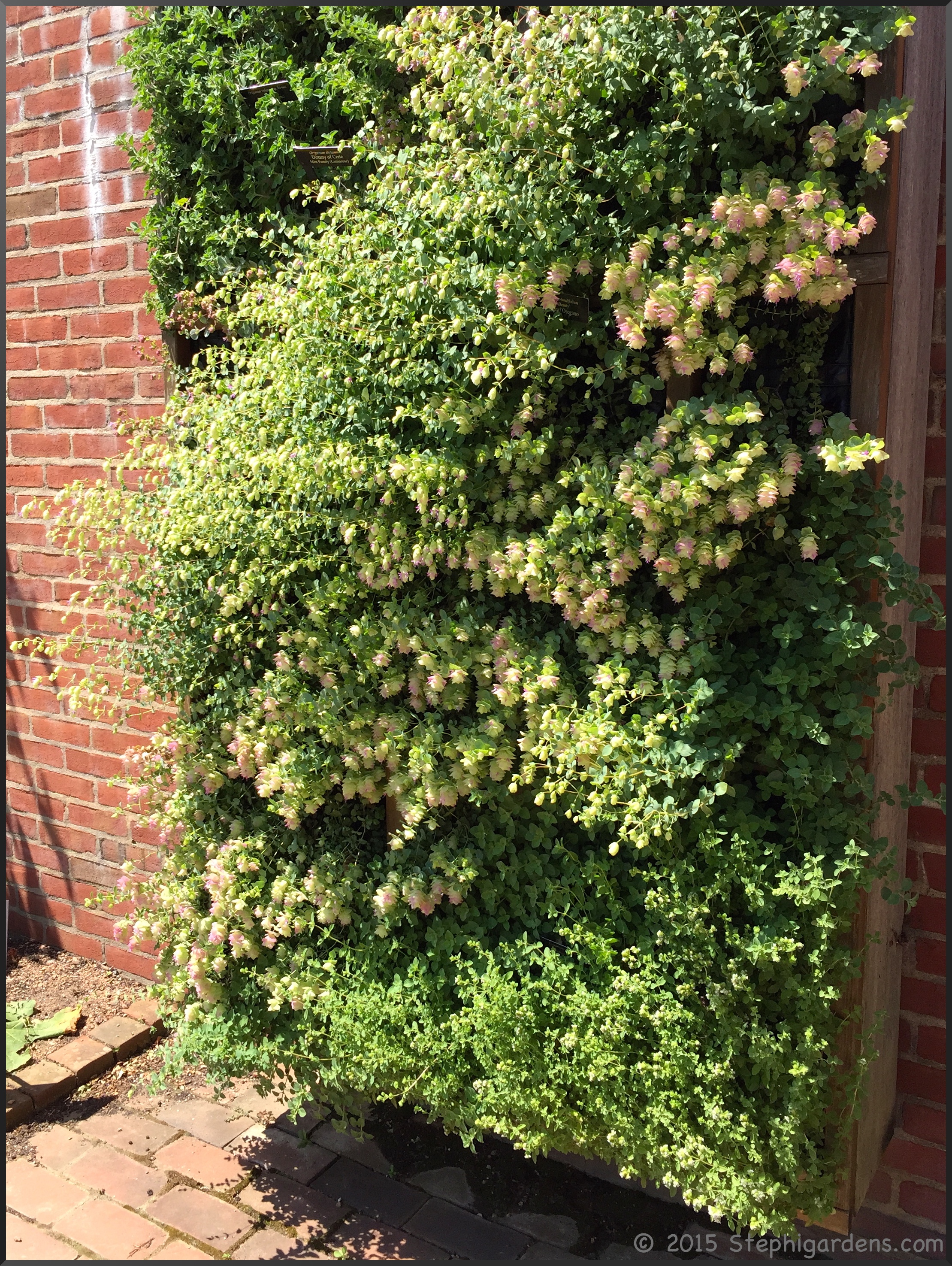 Chicago Botanical Gardens