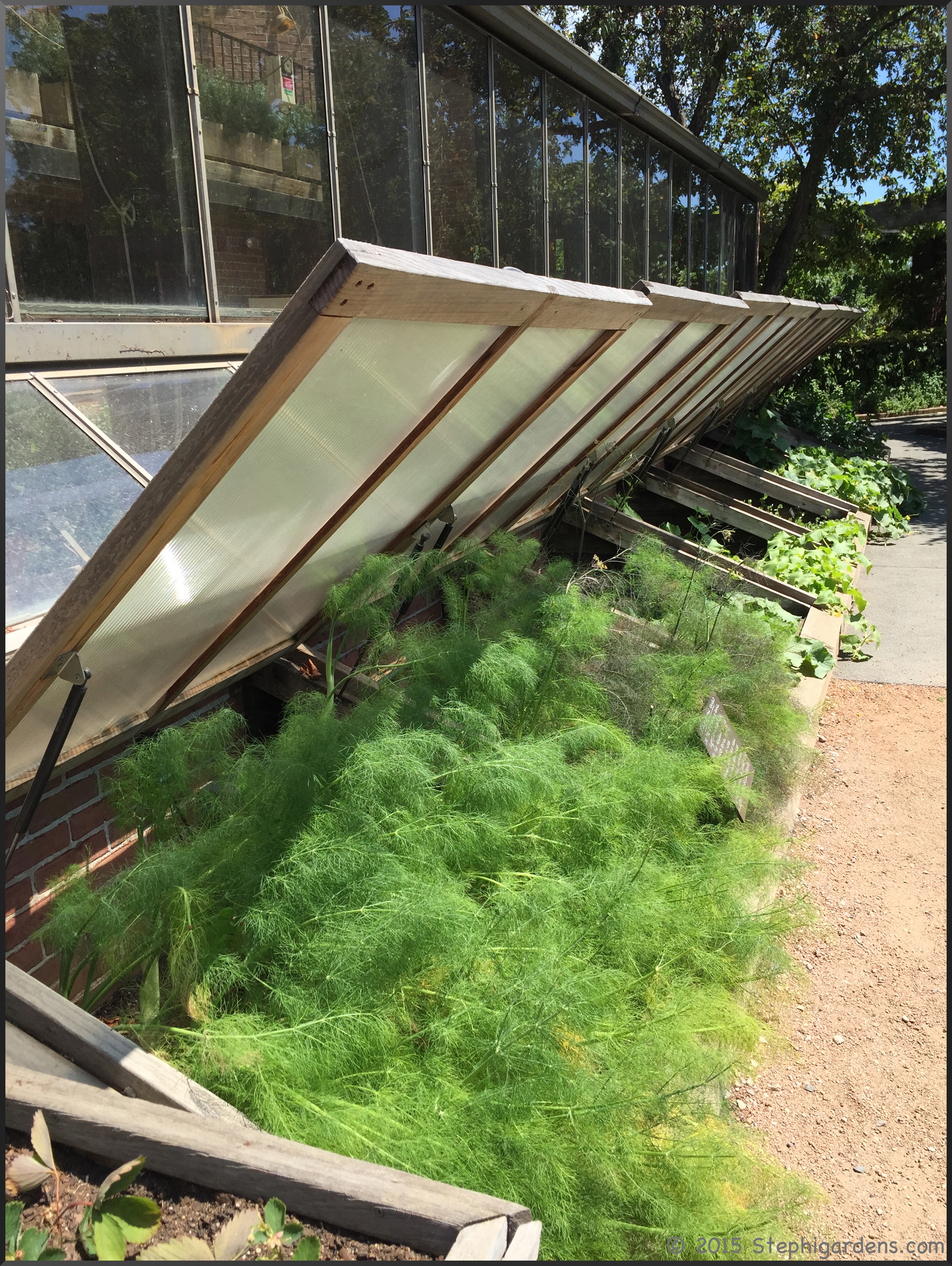 Chicago Botanical Gardens