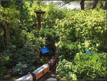 Chicago Botanical Gardens