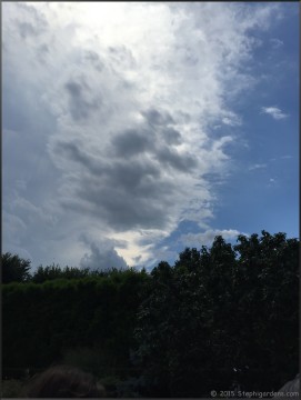 Chicago Botanical Gardens