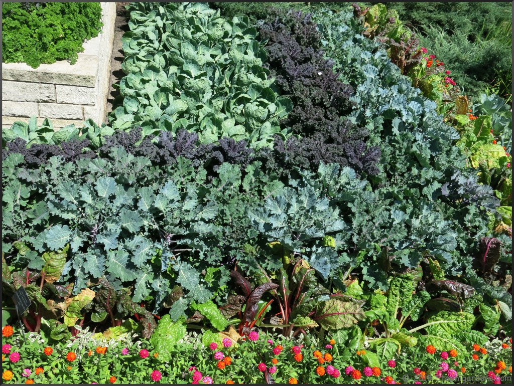 Chicago Botanical Gardens