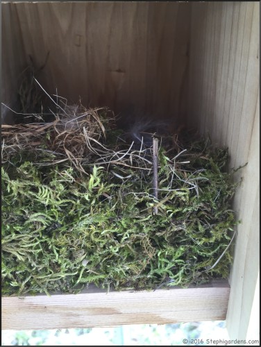 The next day some of the softer material was being added to house #1