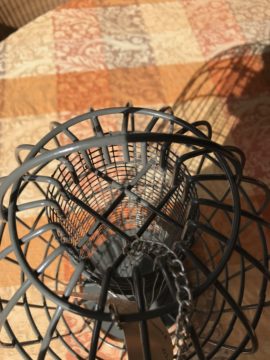 squirrel proof peanut bird feeder