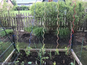 rainbow gardener's supply company rainbow stakes