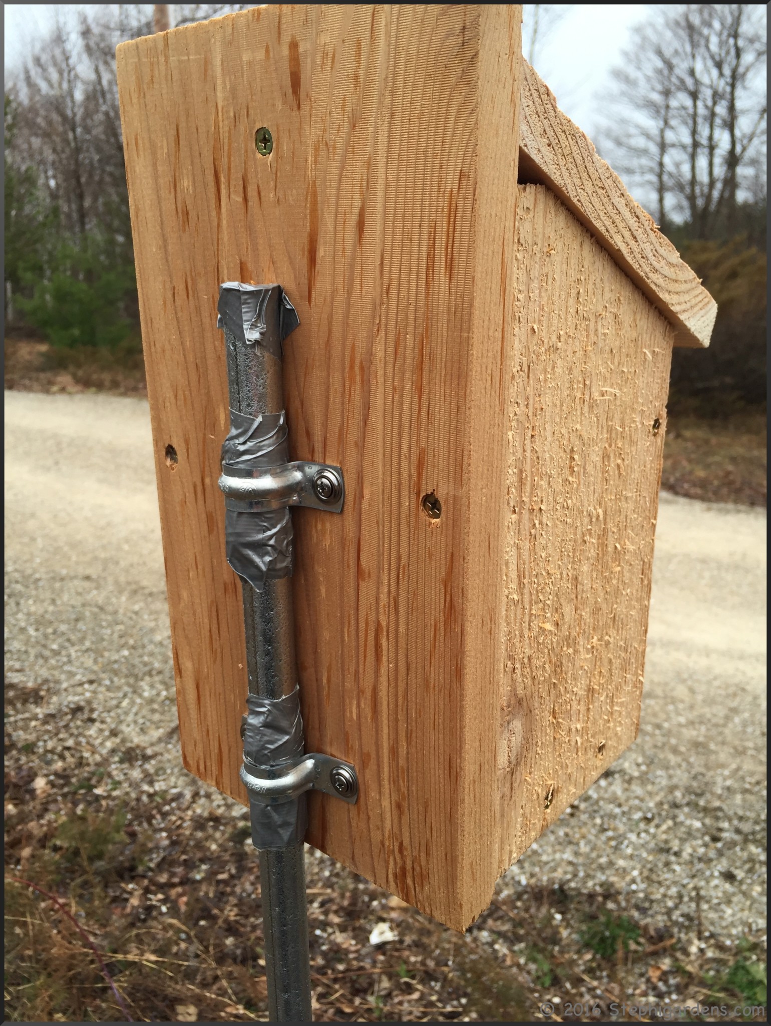 Putting Up Eastern Bluebird Nest Boxes – Stephi Gardens
