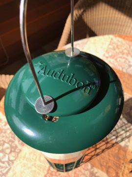 squirrel proof peanut bird feeder