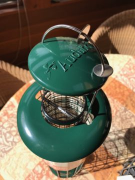 squirrel proof peanut bird feeder