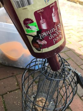 squirrel proof peanut bird feeder